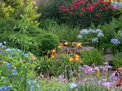 גינות לגלריה 17